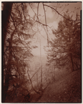 Indian Ladder Trail, John Boyd Thacher State Park, Voorheesville, New York