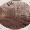 Indian Ladder Trail, John Boyd Thacher State Park, Voorheesville, New York