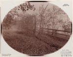 Indian Ladder Trail, John Boyd Thacher State Park, Voorheesville, New York