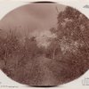 Indian Ladder Trail, John Boyd Thacher State Park, Voorheesville, New York