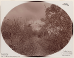 Indian Ladder Trail, John Boyd Thacher State Park, Voorheesville, New York