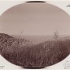 Indian Ladder Trail, John Boyd Thacher State Park, Voorheesville, New York