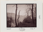 Indian Ladder Trail, John Boyd Thacher State Park, Voorheesville, New York