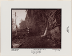 Indian Ladder Trail, John Boyd Thacher State Park, Voorheesville, New York