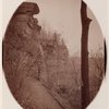 Indian Ladder Trail, John Boyd Thacher State Park, Voorheesville, New York