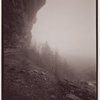 Indian Ladder, John Boyd Thatcher State Park, Voorheesville, New York