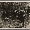 German troops on the outskirts of Sevastopol?
