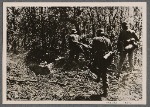 German troops on the outskirts of Sevastopol?