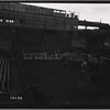 Elevated train station & pen holding cattle, Coney Island: Brooklyn