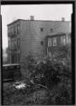 Rear yard and tenements