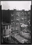 Tenement backyards