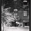 Two boys posed in tenement backyard