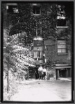 Two boys posed in tenement backyard