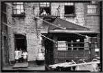 Children posed in rear tenement courtyard