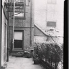 Rear patio
