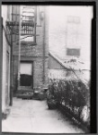Rear patio
