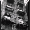 Tenement fire escapes blocked by planters and buckets: Bronx?