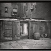 Lower East Side tenement rear with wooden sheds, cat on shed: Manhattan