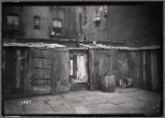 Lower East Side tenement rear with wooden sheds, cat on shed: Manhattan