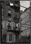 Tenement rear with obstructed fire escape: Manhattan