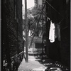 Alley view with Tenement House Dept inspector