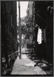 Alley view with Tenement House Dept inspector