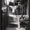 Tenement rear alley with inspector