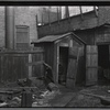 Debris strewn yard; old outhouse