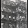 Chelsea (?) tenement rear with tenants and plants on fire escapes: W 17th Street?, Manhattan