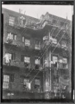 Chelsea (?) tenement rear with tenants and plants on fire escapes: W 17th Street?, Manhattan