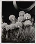 The Night That Made America Famous, 1975 Feb. 13