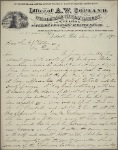 Constituent letters, 1880 June