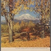 Southern Pacific