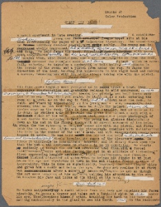 Terry Southern papers