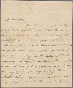 Marianne Hunt manuscript material : 10 items