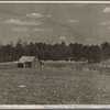 View of typical land at Crabtree Creek, Recreational Demonstration Area, near Raleigh, North Carolina.