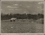 View of typical land at Crabtree Creek, Recreational Demonstration Area, near Raleigh, North Carolina.