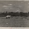 View of typical land at Crabtree Creek, Recreational Demonstration Area, near Raleigh, North Carolina.