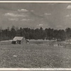 View of typical land at Crabtree Creek, Recreational Demonstration Area, near Raleigh, North Carolina.
