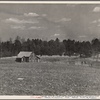 View of typical land at Crabtree Creek, Recreational Demonstration Area, near Raleigh, North Carolina.