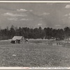 View of typical land at Crabtree Creek, Recreational Demonstration Area, near Raleigh, North Carolina.