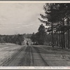Road work at Crabtree Creek, Recreational Demonstration Area, near Raleigh, North Carolina.