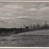 Land erosion at Crabtree Creek, Recreational Demonstration Area, near Raleigh, North Carolina.