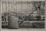 Watering can used on seedlings. U.S.D.A. Experimental Farm. Beltsville, Maryland.