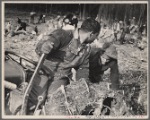 Clearing land at Berwyn, Maryland.