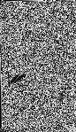 Volume 3 ["C"], Second expedition Jan. 23d to March 1st 1890, Fr[om he]ad of Grand Cañon [to] Diamond Creek