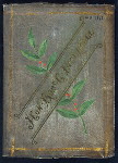 DINNER FOR THE HON. S. W. DORSEY [held by] CITIZENS OF NEW YORK [at] DELMONICO'S (HOT;)