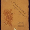 LUNCHEON [held by] ? HOTEL [at] "CHICAGO, IL." (HOTEL)