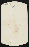 DINNER [held by] MINISTER OF AUSTRIA [at] "WASHINGTON, D.C." ([EMBASSY?])