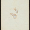 LUNCH?] [held by] HAMBURG-AMERIKANISCHE [SHIP COMPANY?] [at] AT SEA (SS;)